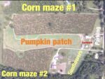 Rowe Crop Farm’s Pumpkin Patch and Corn Maze